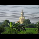 Der 93 m hohe Buddha im Wat Muang
